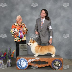 WQ0309
