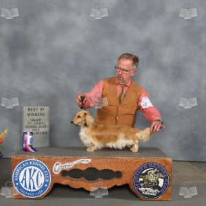 WQ0311