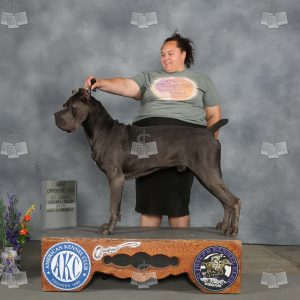 WQ0312