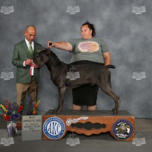 WQ0312A