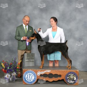 WQ0410