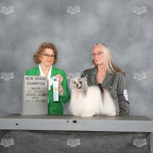 WQ0412