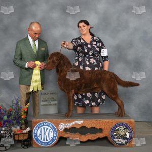 WQ0506