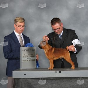 WQ0603