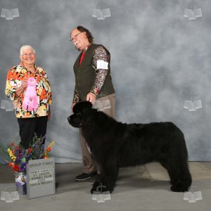 WQ0702