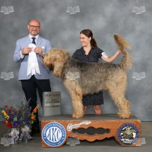 WQ0804