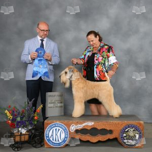WQ0806