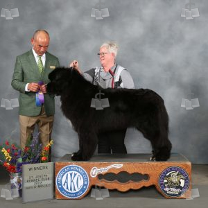 WQ0809