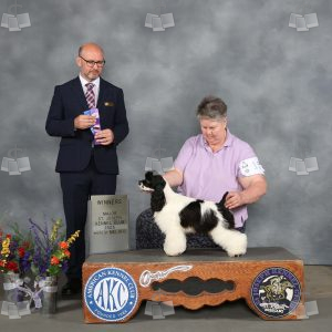 WQ1204A