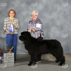 WQ1208