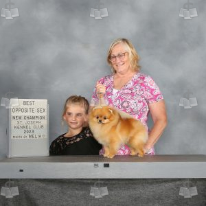 WQ1407