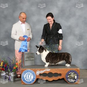 WQ1409