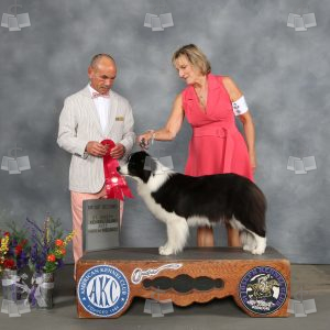 WQ1507