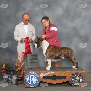 WQ1611