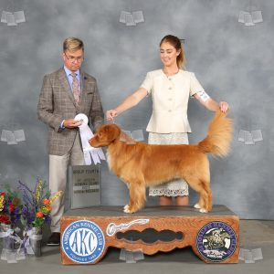 WQ1703
