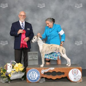 WR1412A