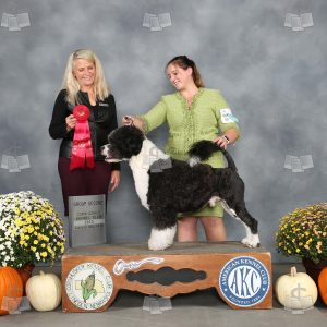 WV2008