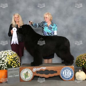 WV2010
