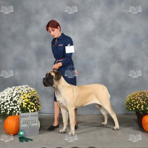 WV2012A