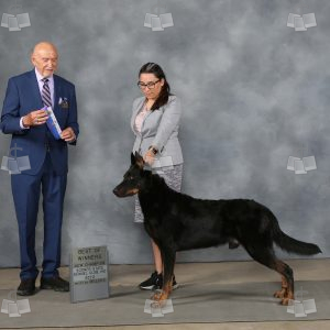 WW0507A