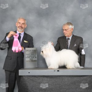 WW0508A