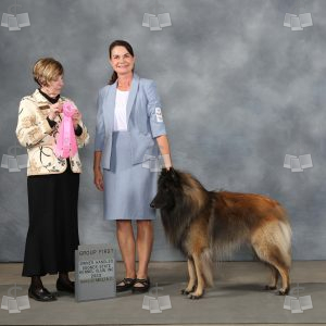 WW0510A