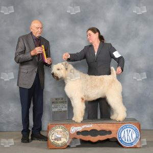 WW0711A