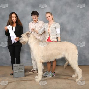 WX0907