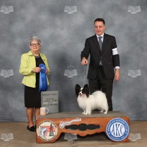 WX0912A