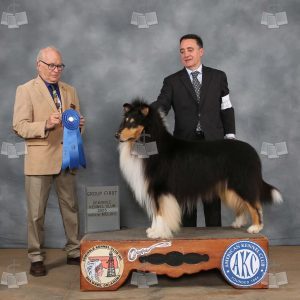 WX1002