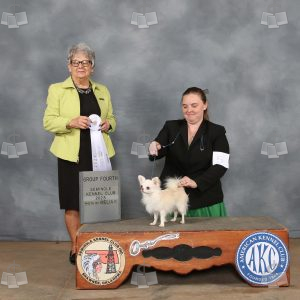 WX1003