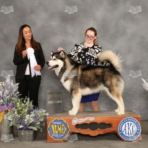 XD0906A
