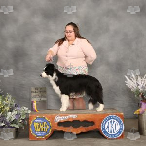 XD0909A