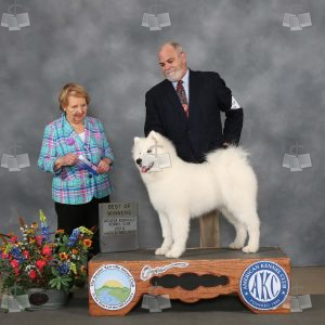 XI0501A