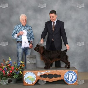 XI0809A