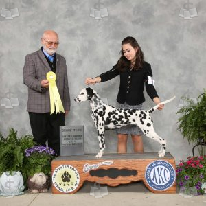 XK0403A