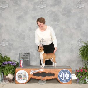 XK2012A