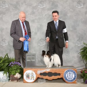 XK2412A