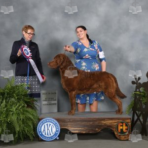 XM2011