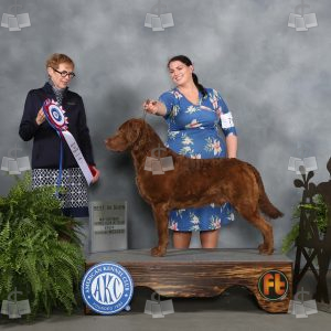 XM2011A