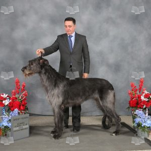 XN0402