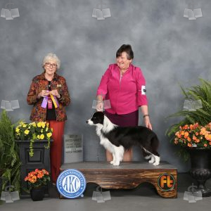 XO0609A