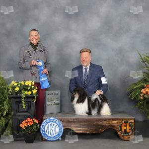 XO0804A