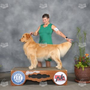 XP0403
