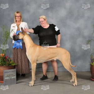 XP0508