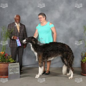 XP0711A