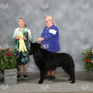 XQ2008