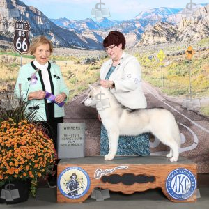 YC2011A