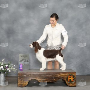 YI1202A