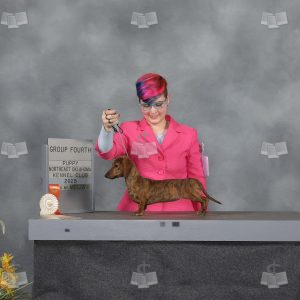 YL0204